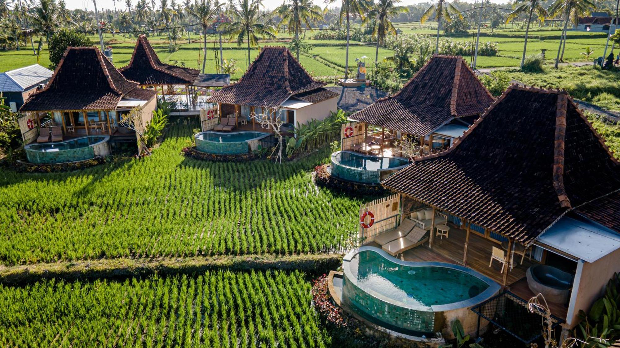 Dituju Ubud By Pramana Villas 外观 照片