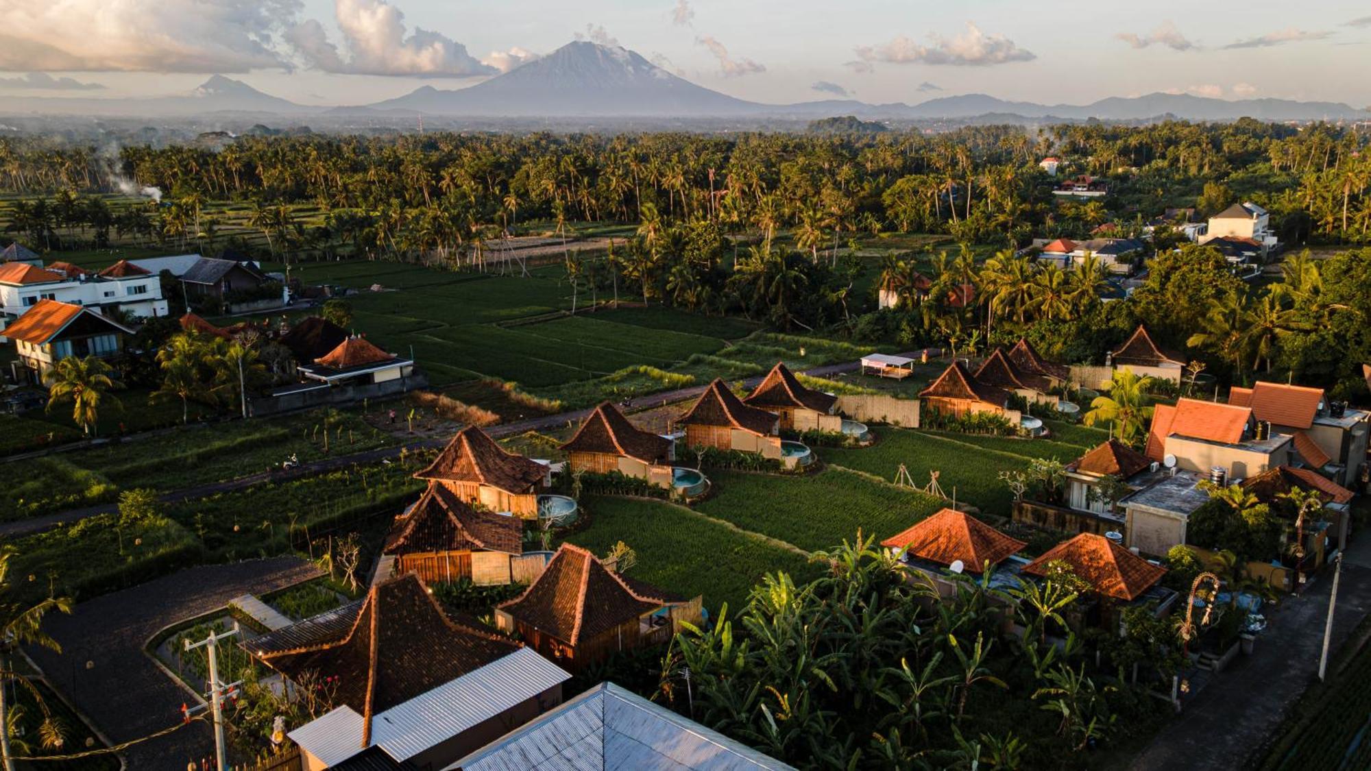 Dituju Ubud By Pramana Villas 外观 照片